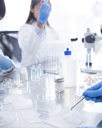 化粧品開発・販売事業